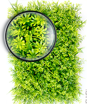 ARTIFICIAL PLANT WALL01.png
